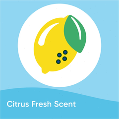 Windex Multi Surface Cleaner Disinfectant Spray - Citrus Fresh - 26 fl oz: Liquid, Spray Bottle, Multipurpose, Non-Porous Surfaces