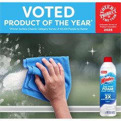 Windex Fast Shine Foaming Window and Glass Cleaner - 19oz