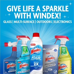 Windex Liquid Outdoor Window and Glass Cleaner Spray - 32 fl oz