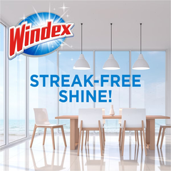 Windex Original Window and Glass Cleaner Wipes Pre-Moistened - 38ct