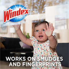 Windex Original Window and Glass Cleaner Wipes Pre-Moistened - 38ct